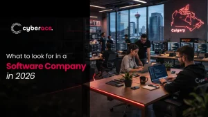 What to Look for in a Software Company 2026